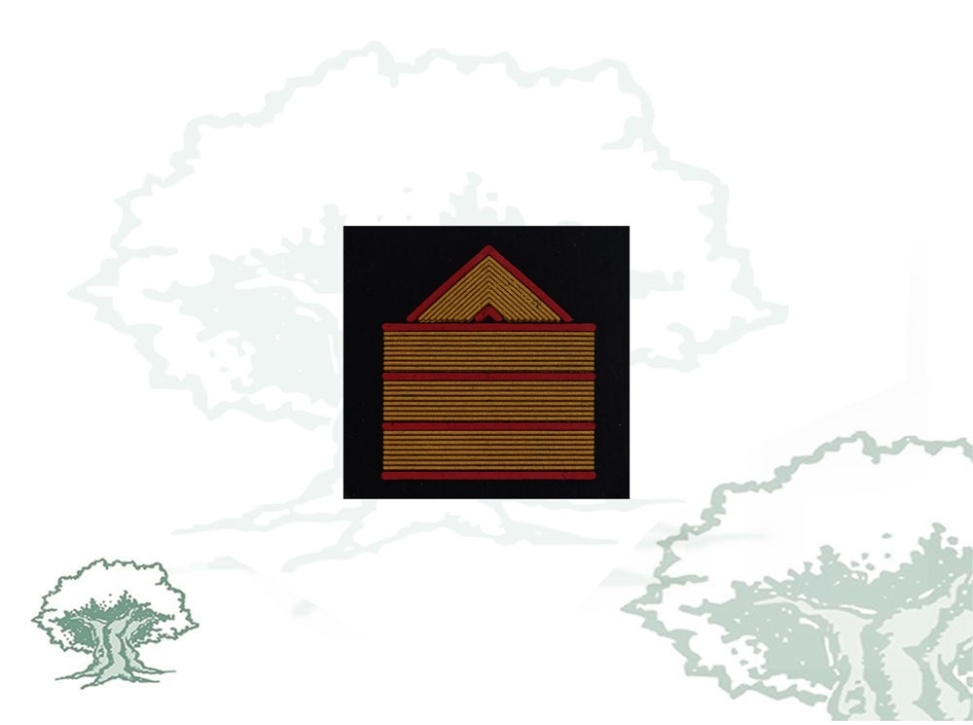 Galleta Montaña de la Guardia Civil