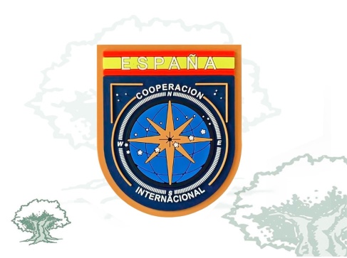 Parche Cooperación Internacional Policía Nacional