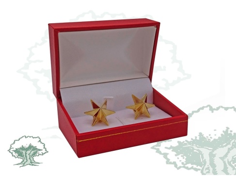 Estrella 6 puntas bañadas en oro