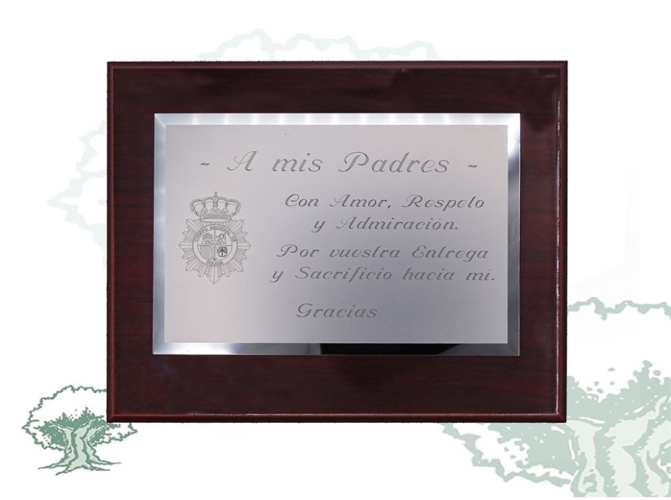 Metopa dedicatoria Policía Nacional