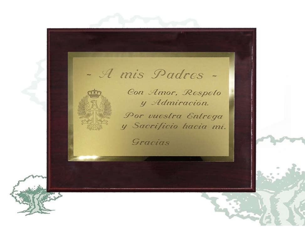 Metopa dedicatoria Ejército