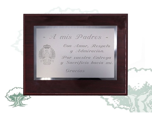 Metopa dedicatoria Ejército