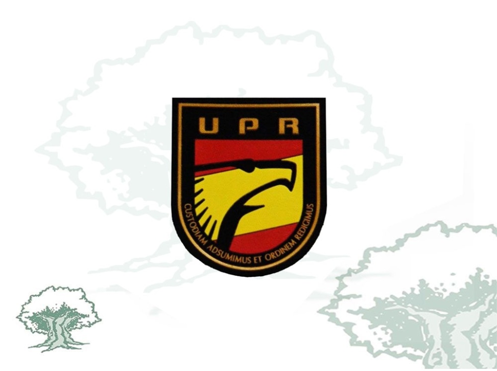 Parche UPR Policía Nacional pequeño