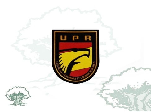 Parche UPR Policía Nacional pequeño