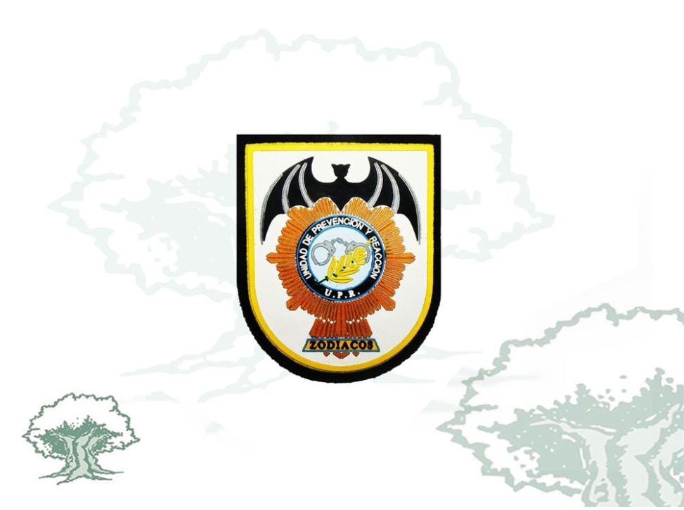 Parche UPR Zodiacos Policía Nacional miniatura
