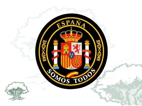 Pegatina Escudo Constitucional España somos todos