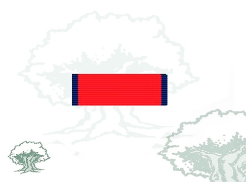 Pasador Orden de la Cruz de San Raimundo de Peñafort