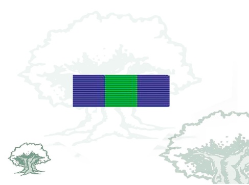 Pasador Orden del Mérito Deportivo