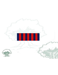 Pasador Medalla Mérito Penitenciario