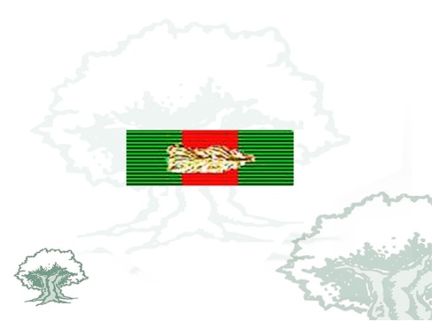 Pasador Cruz de Oro de la Orden del Mérito de la Guardia Civil