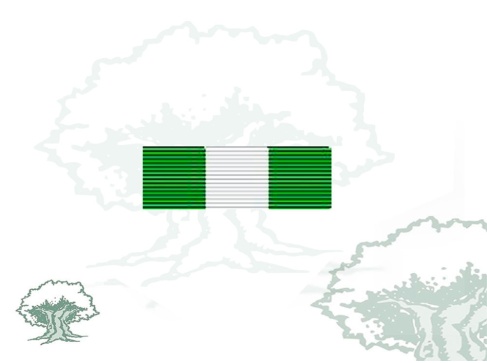 Pasador Cruz con distintivo blanco de la Orden del Mérito de la Guardia Civil
