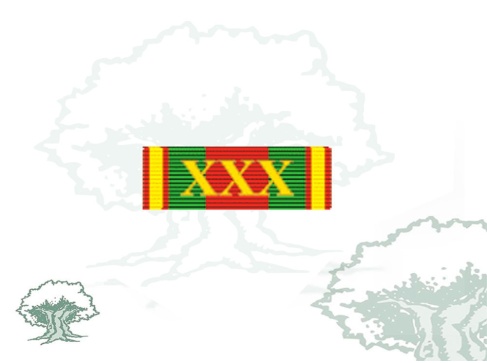 Pasador Encomienda a la Dedicación Policial