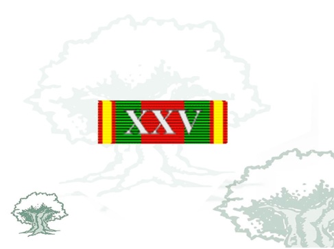 Pasador Cruz a la Dedicación Policial