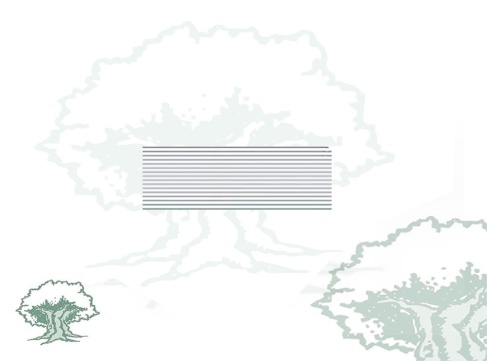 Pasador Medalla al Mérito de la Protección Civil distintivo blanco Pasador Medalla al Mérito de la Protección Civil distintivo blanco