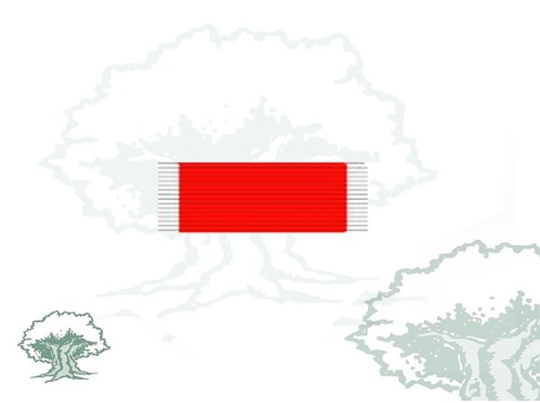 Pasador Real Orden Reconocimiento Civil Víctimas del Terrorismo