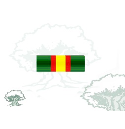 Pasador Medalla del Ejército individual