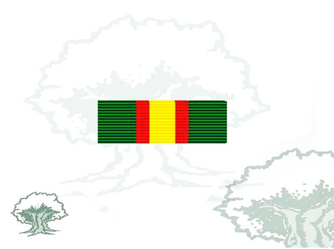 Pasador Medalla del Ejército individual