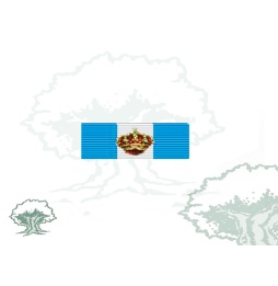 Pasador Gran Cruz de la Real y Distinguida Orden Española de Carlos III