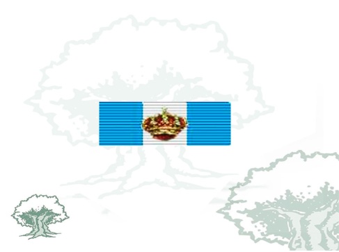 Pasador Gran Cruz Real y Distinguida Orden Española de Carlos III