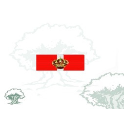 Pasador Gran Cruz del Mérito Militar distintivo rojo