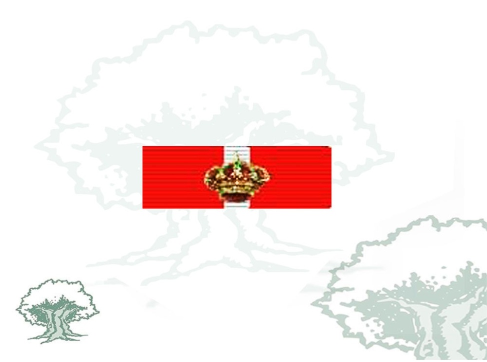 Pasador Gran Cruz Mérito Militar distintivo rojo