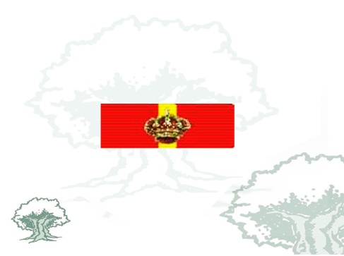 Pasador Gran Cruz Mérito Naval distintivo rojo