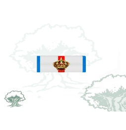 Pasador Gran Cruz del Mérito Militar distintivo azul