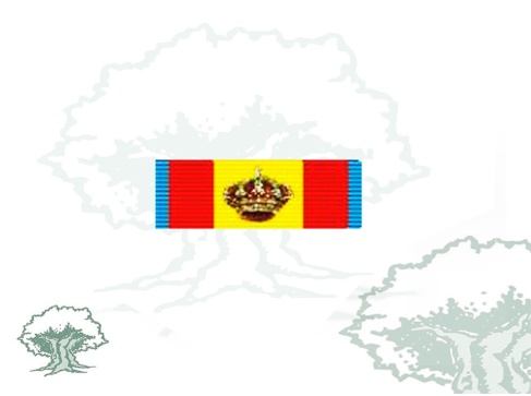 Pasador Gran Cruz del Mérito Naval distintivo azul