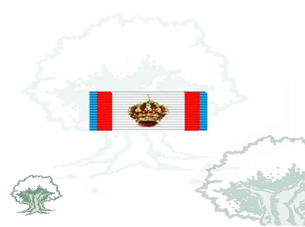 Pasador Gran Cruz Mérito Aeronautico distintivo azul