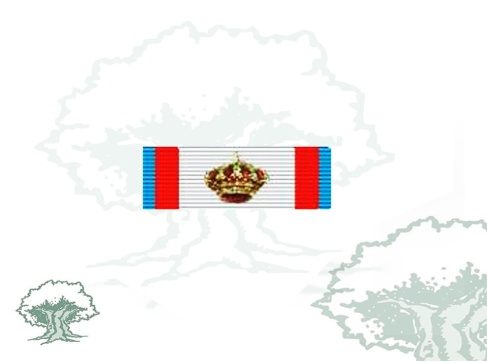 Pasador Gran Cruz Mérito Aeronautico distintivo azul