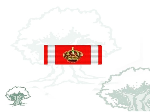 Pasador Gran Cruz Mérito Aeronautico distintivo rojo