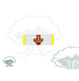Pasador Gran Cruz del Mérito Militar distintivo amarillo