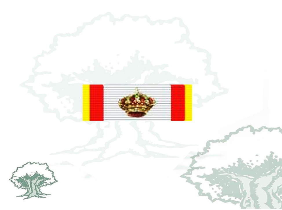 Pasador Gran Cruz Mérito Aeronautico distintivo amarillo