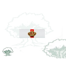 Pasador Gran Cruz del Mérito Militar distintivo blanco
