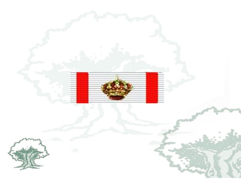 Pasador Gran Cruz del Mérito Aeronautico distintivo blanco Pasador Gran Cruz del Mérito Aeronautico distintivo blanco
