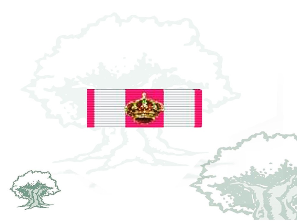 Pasador Gran Cruz Real y Militar Orden de San Hermenegildo