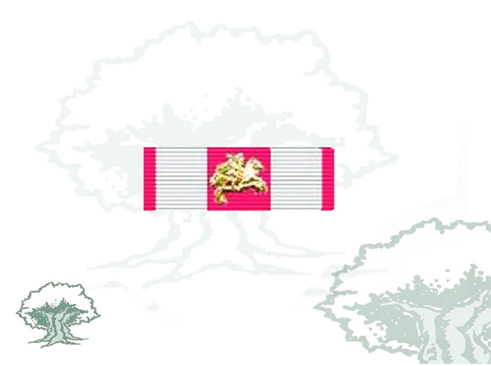 Pasador Placa Real y Militar Orden de San Hermenegildo