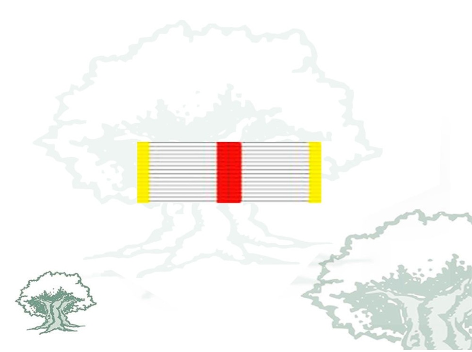 Pasador Cruz Mérito Militar distintivo amarillo