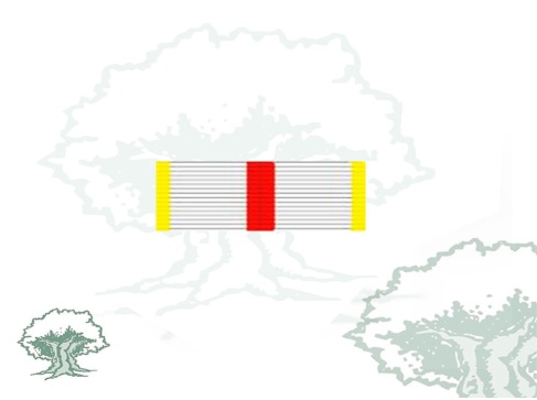 Pasador Cruz Mérito Militar distintivo amarillo