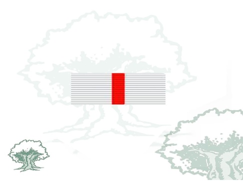 Pasador Cruz del Mérito Militar distintivo blanco