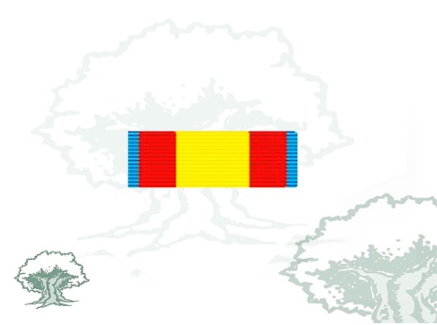 Pasador Cruz del Mérito Naval distintivo azul