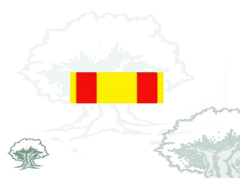 Pasador Cruz Mérito Naval distintivo amarillo