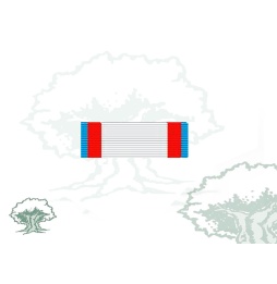 Pasador Cruz del Mérito Aeronautico distintivo azul