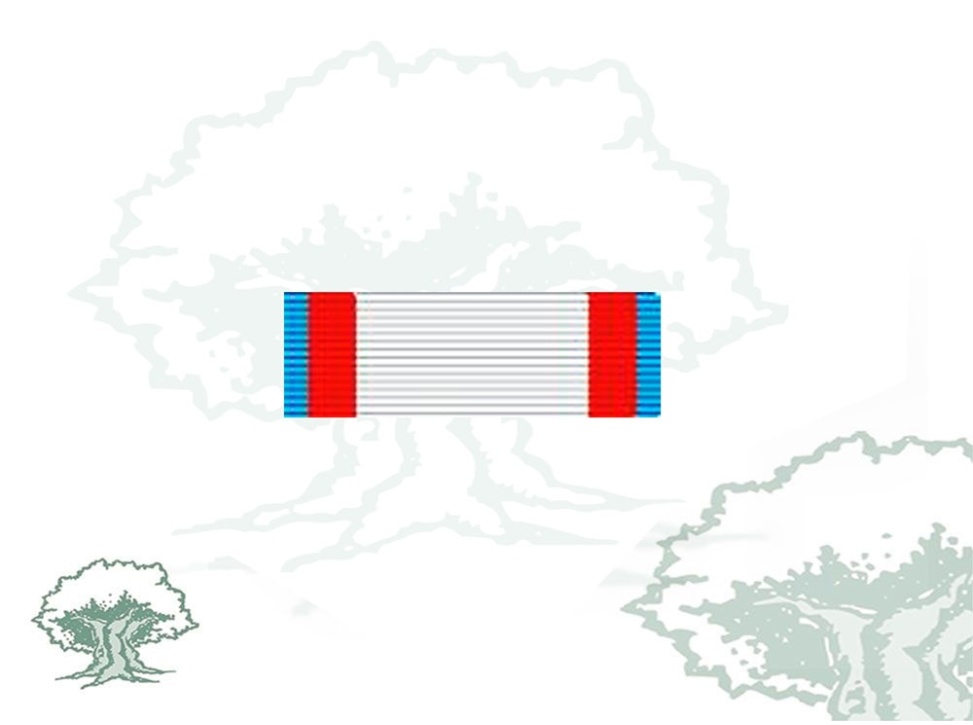 Pasador Cruz Mérito Aeronautico distintivo azul