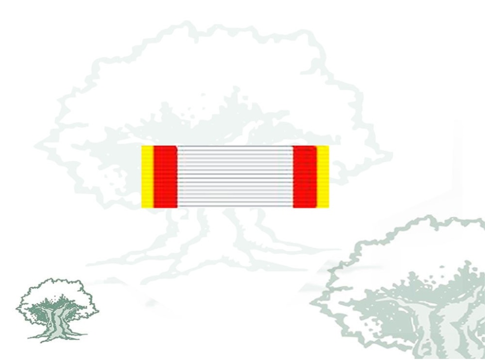 Pasador Cruz Mérito Aeronautico distintivo amarillo