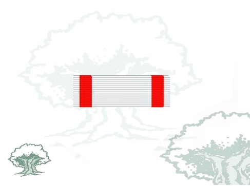 Pasador Cruz del Mérito Aeronautico distintivo blanco