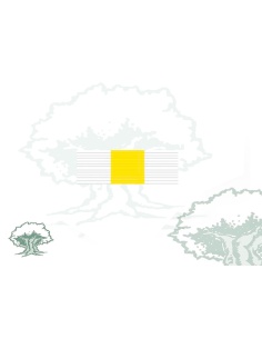 Pasador Cruz Constancia en el Servicio Suboficiales