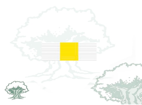 Pasador Cruz Constancia en el Servicio Suboficiales