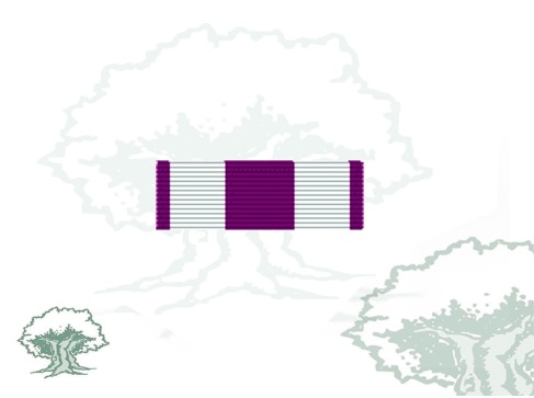 Pasador Cruz Honor de la Cruz Fidelitas