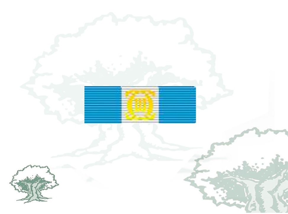 Pasador Encomienda Número Orden de Carlos III